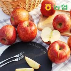 [농협] 아삭달콤 안동 세척사과 정품 2.5kg 2박스 (32과내)