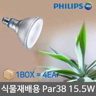 필립스 LED 식물재배등 par38 15.5W 4개 묶음 식물재배조명