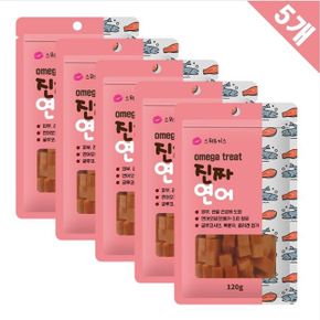 강아지 산책 훈련 칭찬용 오메가트릿 진짜연어120g x5