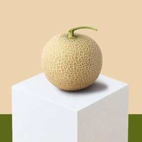 프리미엄 당도선별 머스크 메론 가정용 8kg  (3-4통)