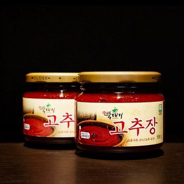 내고향일품방 [뚝배기식품]고추장500g