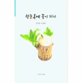 행운목에 꽃이 피다_P329433243