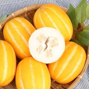 [오늘담은]성주참외 가정용 꼬마과 1kg 7-10과