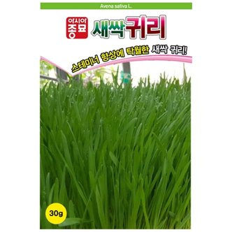 아시아종묘 귀리씨앗종자 새싹귀리(30g)