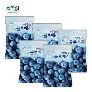 웰팜 [자연원]두번엄선한 냉동 블루베리 1.13kg x 5팩