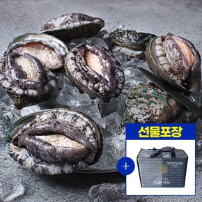 (선물포장세트) 국내산 해남 완도 활전복 1kg (9-10미) + 전복칼