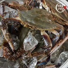 미각기행 [G]미각기행 제철 대박 활 꽃게 1kg(3-5미)