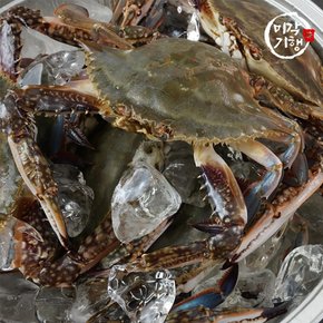 [G]미각기행 제철 대박 활 꽃게 1kg(3-5미)