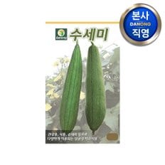 수세미 씨앗 10립 . 야채 채소 텃밭 파종 재배 주말 농장 씨 종자