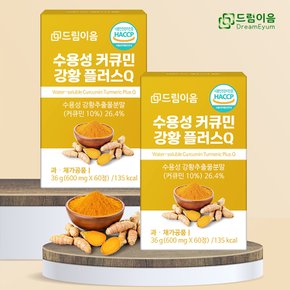 수용성 커큐민 강황 플러스 Q 60정 x 1박스