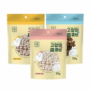 고양이 동결건조 큐브 간식 20g 1P 노즈워크 트릿 (WDC5538)