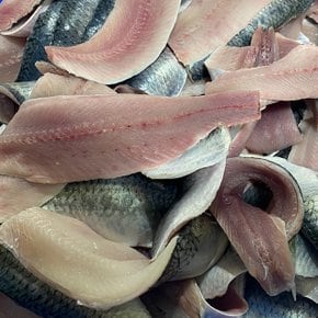 자연산 청어 회 필렛 500g x 1팩