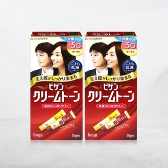 너만아는잡화점 비겐크림톤 염색약 대용량 60g 염모제 5G 진한밤색 x 2개