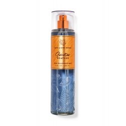 BBWㅤ배스앤바디웍스 스웨터 웨더 파인 향수 미스트 236.6ml 236mL - SSG.COM