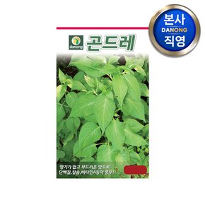 곤드레 (고려엉겅퀴) 씨앗 1000립 , 채소 텃밭 파종 재배 씨 종자,