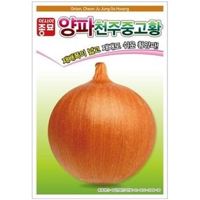 양파씨앗종자 천주중고황 (2.5g)