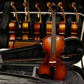 비올라/RIVERA Viola A300