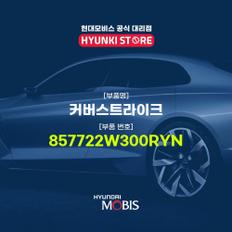 커버스트라이크 (857722W300RYN)