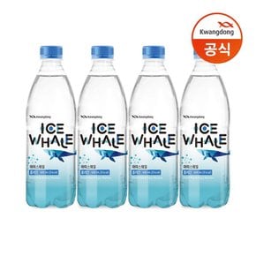 [G] 아이스웨일 플레인 탄산수 500ml 40pet/음료/음료수