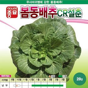 배추씨앗종자 봄동배추 CR설춘 (20g)