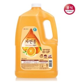 자연퐁 오렌지 4kg