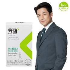 보스웰리아 엑스퍼트 액티브 800mg x 30정