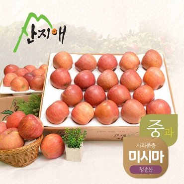 산지애 알뜰 못난이사과(중과) 4.5kg 2box / 당도선별, 청송산 미시마