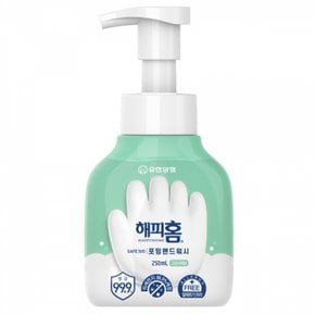 해피홈 포밍 핸드워시 용기형 그린샤워향 250ml X ( 2매입 )