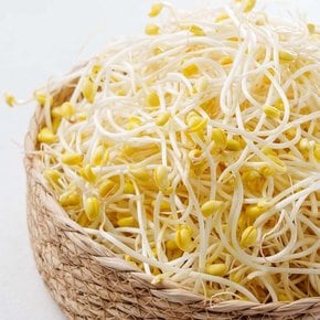 국내산 아삭한 산소 콩나물 2kg