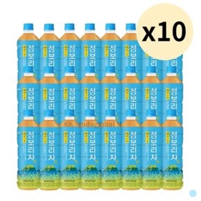 제주의봄 청보리차 음료 사무실 500ml 24p X 10