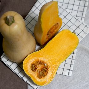 농장직송 강원도 땅콩호박 버터넛스쿼시 2kg (1-2개)