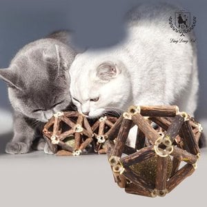 딩동펫 고양이 캣닢 장난감 마따따비 삼각볼 2종세트