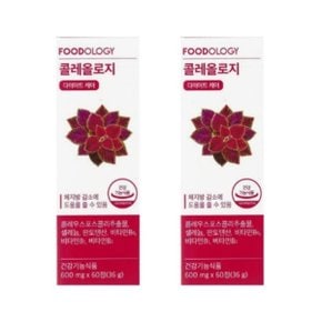 푸드올로지 콜레올로지 600mg 60정 2개