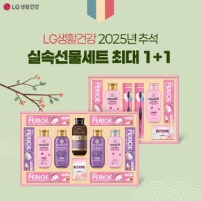 LG생활건강 추석 선물세트 N+1