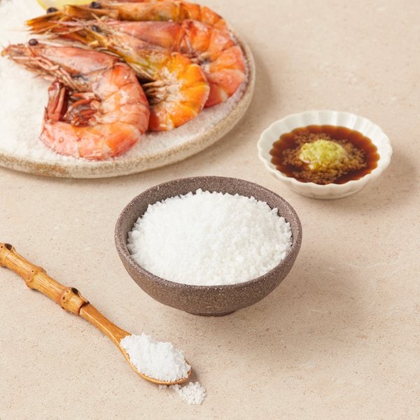 올가 신안 천일염 500g
