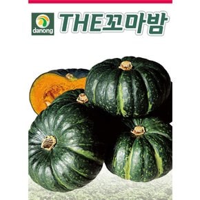 (DN)꼬마밤5립