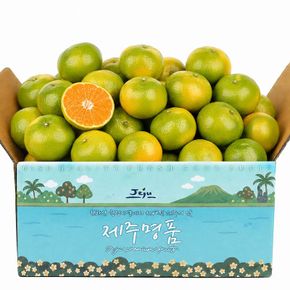 [26년 첫수확] 제주 서귀포 햇 조생감귤 2.5kg 로얄과(2S-M)[36181279]