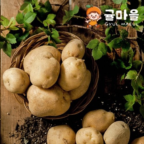 추가1이미지
