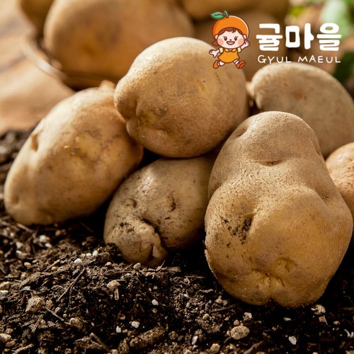 추가3이미지