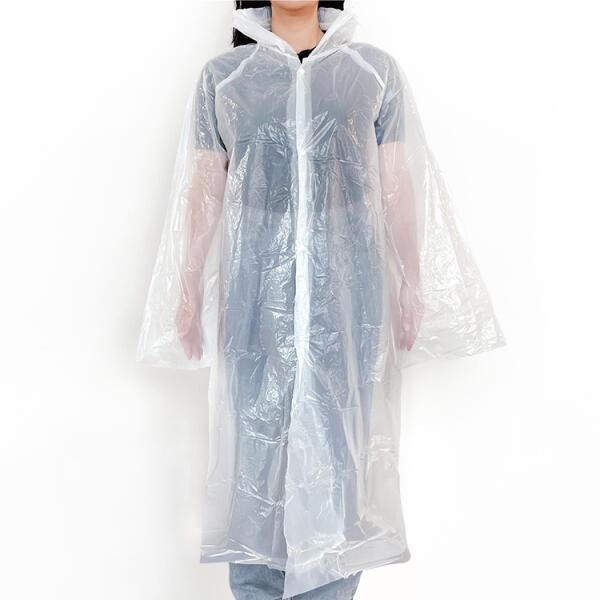 확대된 대표 IMAGE1