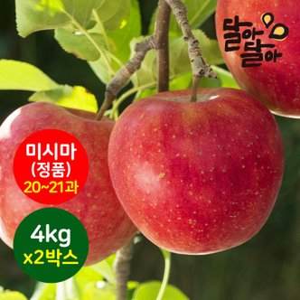 달아달아 경북 정품사과 미시마 부사 4kg(20-21과) 2박스