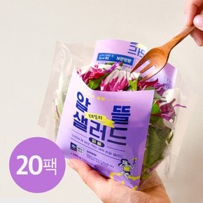 데일리 알뜰 샐러드 퍼플 100g x 20팩