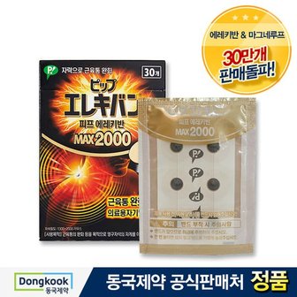 동국제약 자석파스 피프 에레키반 MAX 2000 30개