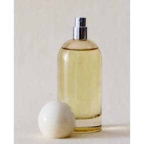 (100ML) CLEAN BLOSSOM 스프레이 방향제 45494706131