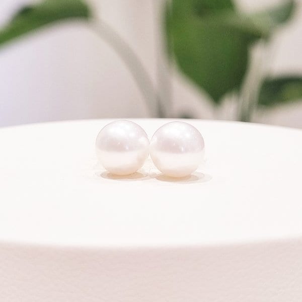 [부산점] 펄플레인 아코야진주(7.5mm) 귀걸이 241610034