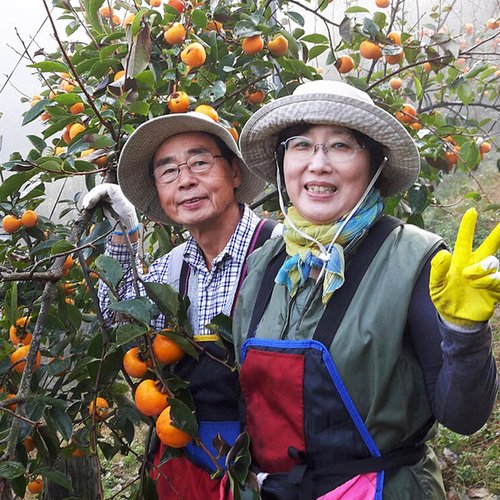 상품이미지2