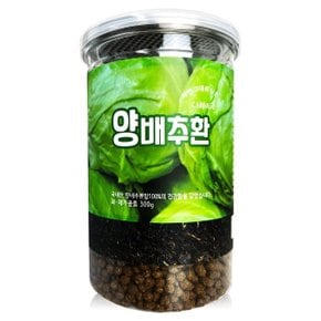 헬로우그린 국산 양배추환 300g(통) (WBB38F7)