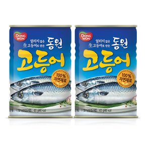 고등어 원터치 400g x2개