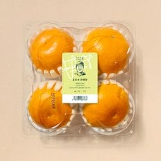 미식생활 [신선장인] 홍동표 천혜향 (4입, 1kg)