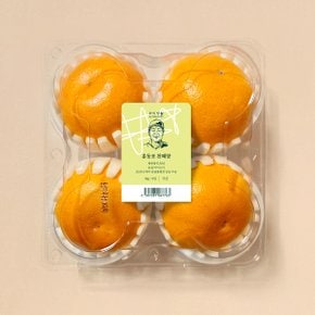 [신선장인] 홍동표 천혜향 (4입, 1kg)
